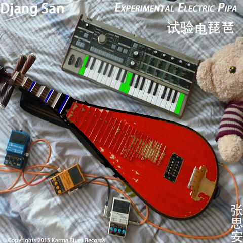Experimental electric pipa