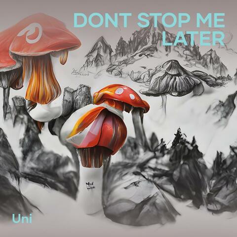 Dont Stop Me Later
