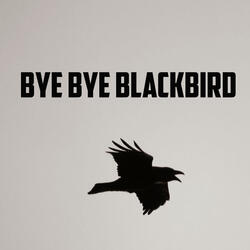 Bye Bye Blackbird (Part. 2)