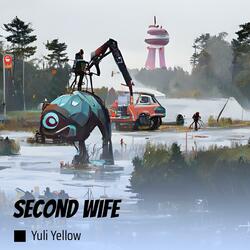 Second Wife