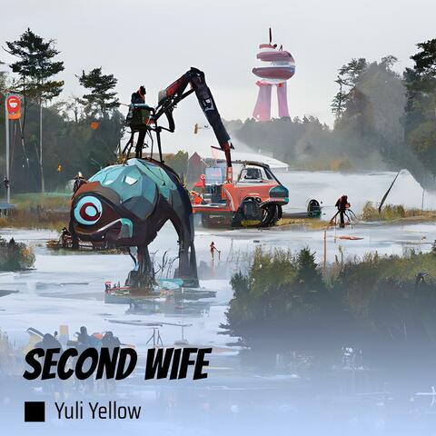 Second Wife