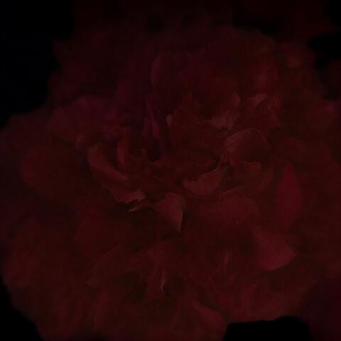 Reminiscence