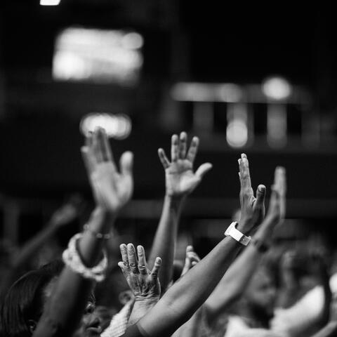Surrender