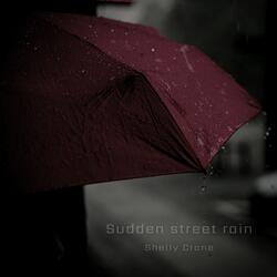 Sudden Street Rain