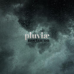 Quiet Rain and Distant Thunder