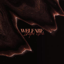 Welfare