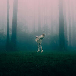 I Used to Be Free