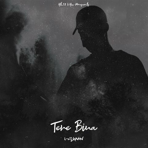 Tere Bina