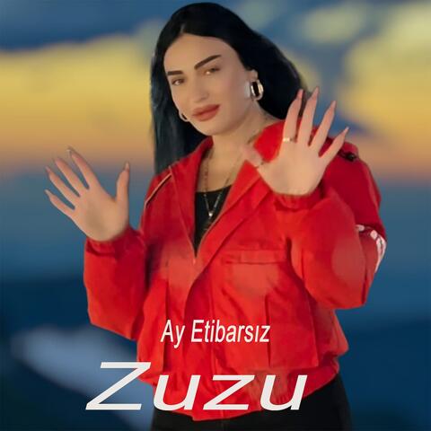 Ay Etibarsız