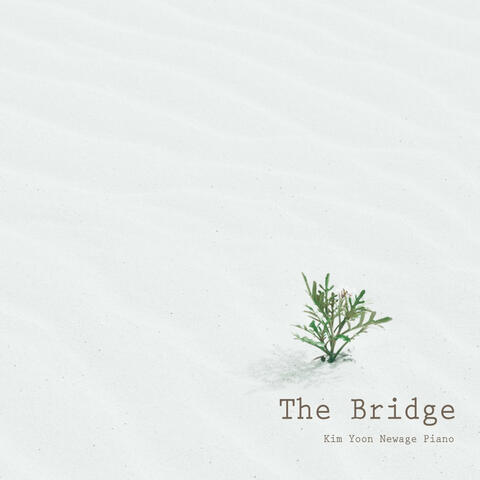 The Bridge : New age piano music for relaxation and a good night's sleep