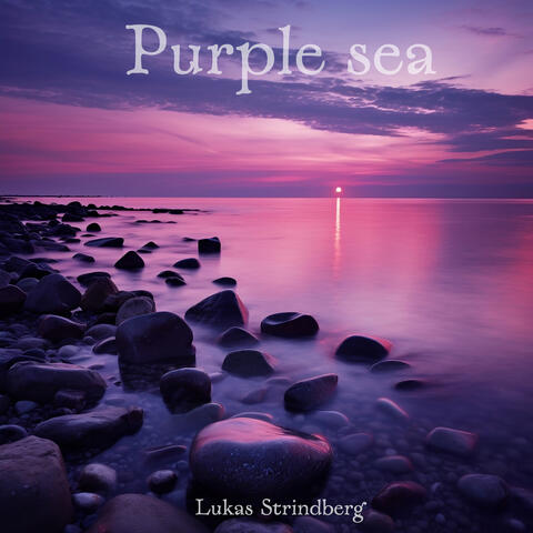 Purple sea