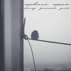 Город в тумане