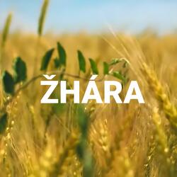 žhára