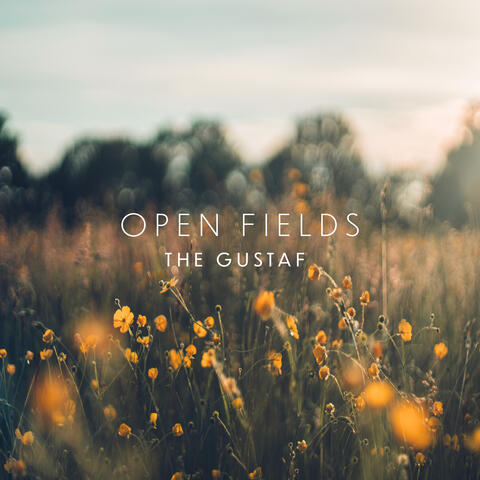 Open Fields