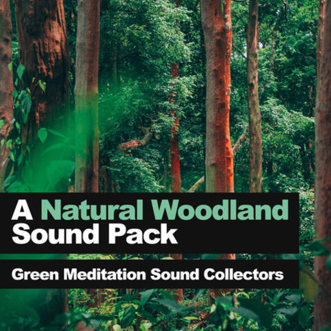 A Natural Woodland Sound Pack