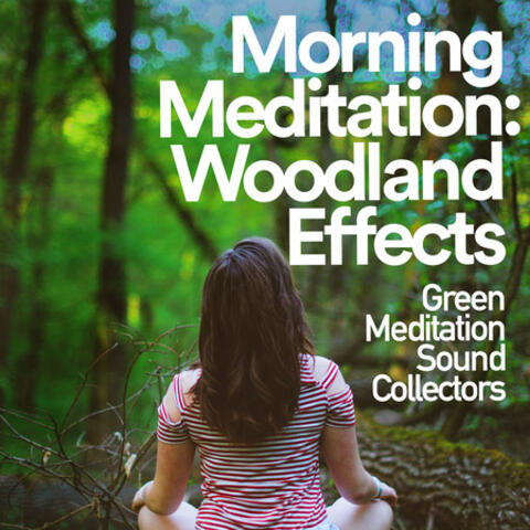Morning Meditation: Woodland Effects