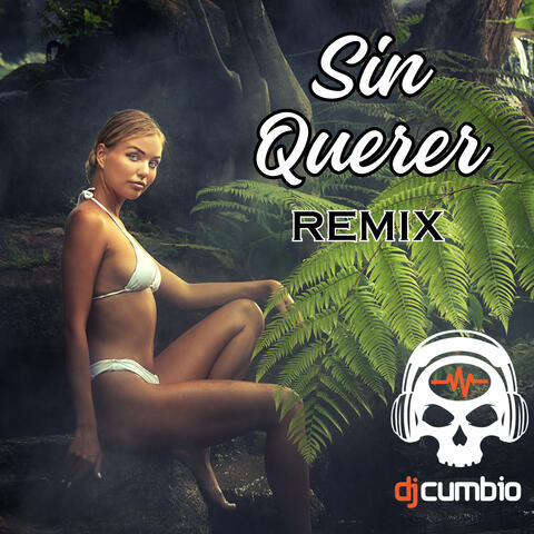 Sin Querer (Remix)