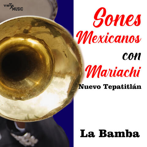 Sones Mexicanos Con Mariachi Nuevo Tepatitlan La Bamba