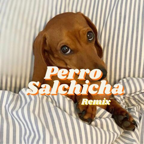 Perro Salchicha (Remix)