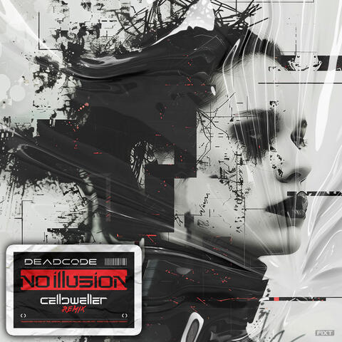 No Illusion
