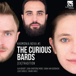 A Set of 3 Irish Airs: Mary O’Neill (jiig) - The Lads of Dunse (jig) - Port Patrick (jig)