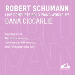 Fantasie, Op. 17: II. Mäßig. Durchaus energisch