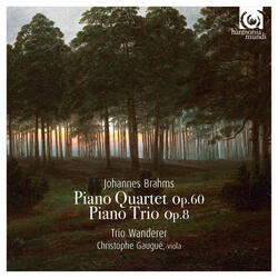 Piano Trio No. 1 in B Major, Op. 8: I. Allegro con moto