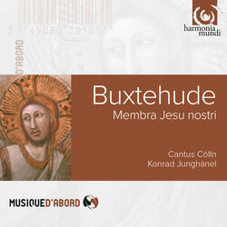 Membra Jesu Nostri, BuxWV 75: Ad pectus. Sicut modo geniti