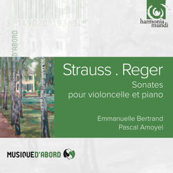 Little Romanze in D Major, Op. 79 No. 2: Andante - un poco con moto