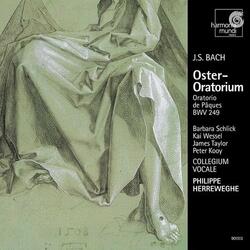 Oster-Oratorium, BWV 249: 10. Recitativo (B) "Wir sind erfreut"