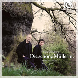 Die Schöne Müllerin, Op. 25, D. 795: Mit dem grünen Lautenbande