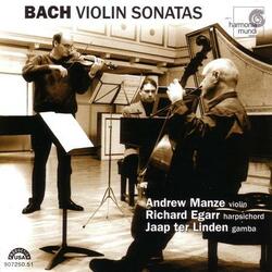 Sonata in A Major, BWV 1015: III. Andante un poco