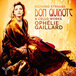 Don Quixote, Op. 35: Variation III. Sancho's wishes, peculiarities of speech and maxims