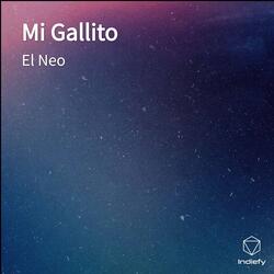 Mi Gallito