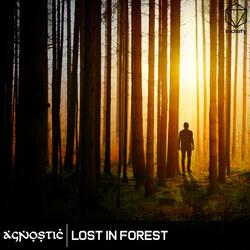 Lost In Forest