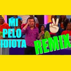 Estúpida mi pelo idiota Remix