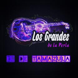 El de Tamazula
