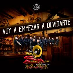 Voy a Empezar a Olvidarte