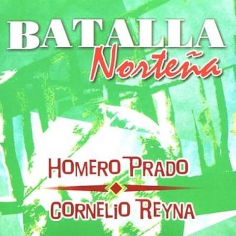 Batalla Nortena