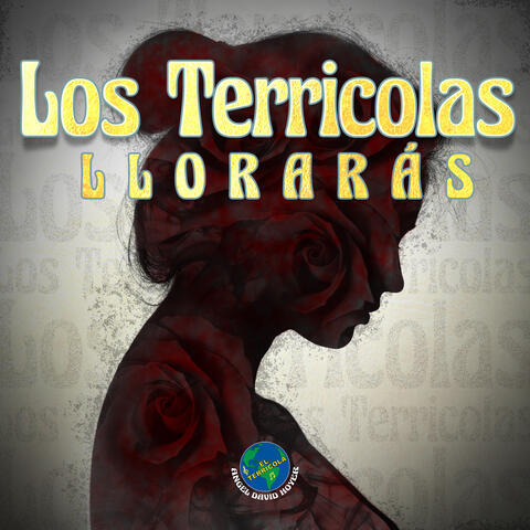 Llorarás