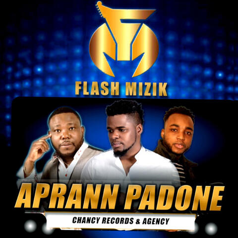 Aprann padone