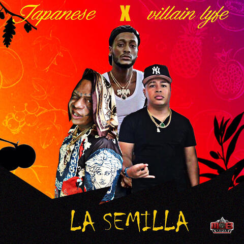 LA SEMILLA