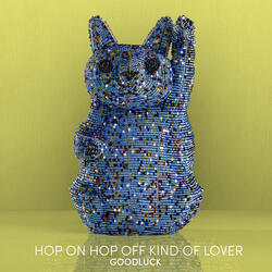 Hop On Hop Off Kind of Lover