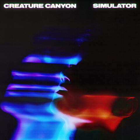 Simulator