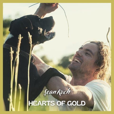 Hearts of Gold