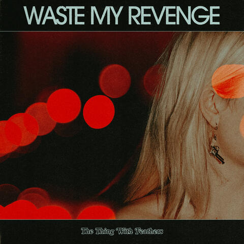 Waste My Revenge