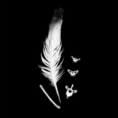 Feathered Thing