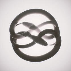 Circles