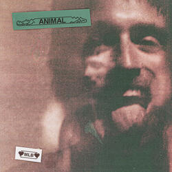 animal