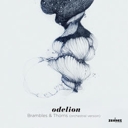 Brambles & Thorns